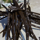 Dolce&gabbana devotion feminino eau de parfum 100ml